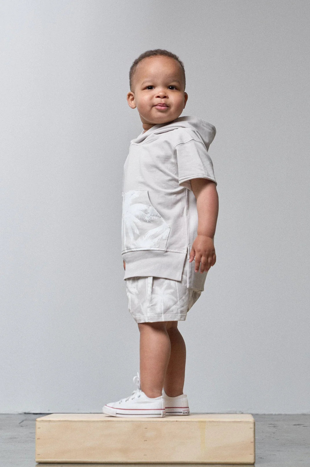 Short Sleeve Raw Edge Hoodie - Frost