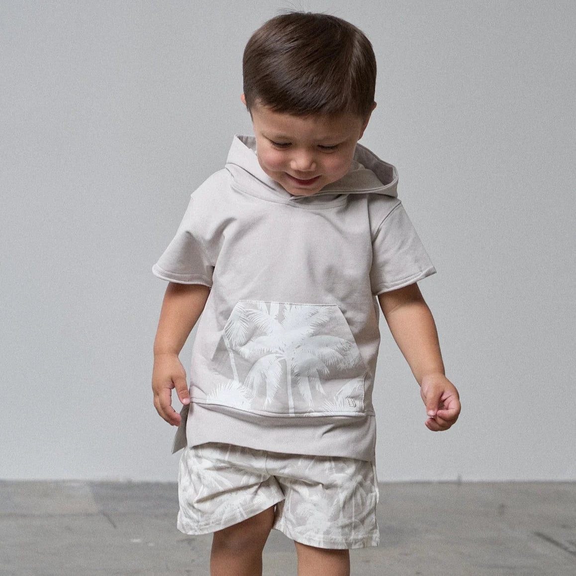 Short Sleeve Raw Edge Hoodie - Frost