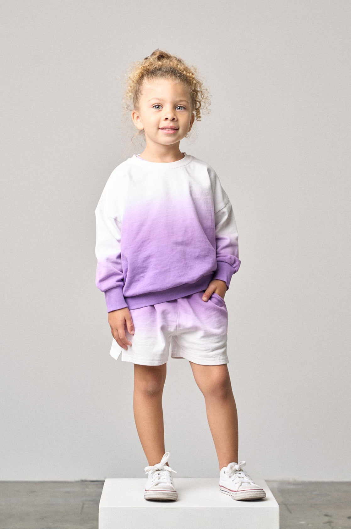 Ombre Elevated Crewneck - Purple